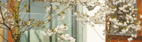 Property PR latest: Naturally Woodlands appears in First Time Buyer's 'Hot Spot' pages