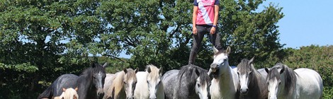 Extreme stunt rider Emma Massingale avoids saddle soreness by standing on the backs of her moving steeds – the most challenging and dangerous feat in the history of horsemanship.