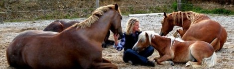 Neigh-bother: more coverage just in for celeb horse trainer, Emma Massinage