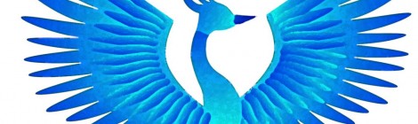 Palamedes PR forms an alliance with Phoenix Features