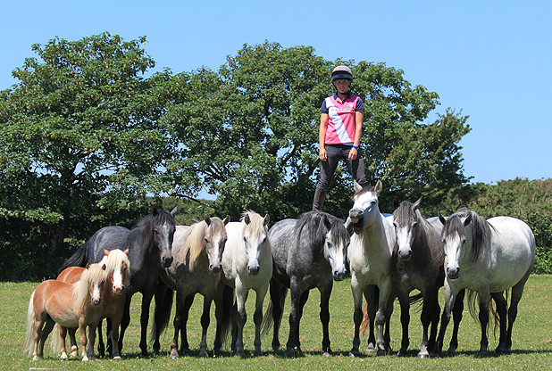 Palamedes PR: Extreme stunt rider Emma Massingale avoids saddle soreness by standing on the backs of her moving steeds – the most challenging and dangerous feat in the history of horsemanship.