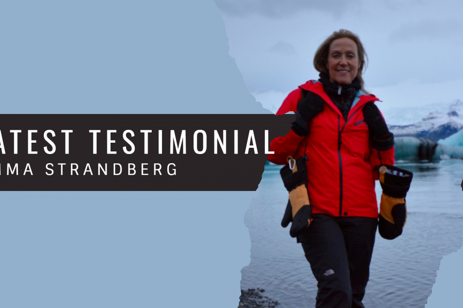 Emma Strandberg provides Palamedes PR with a testimonial and review