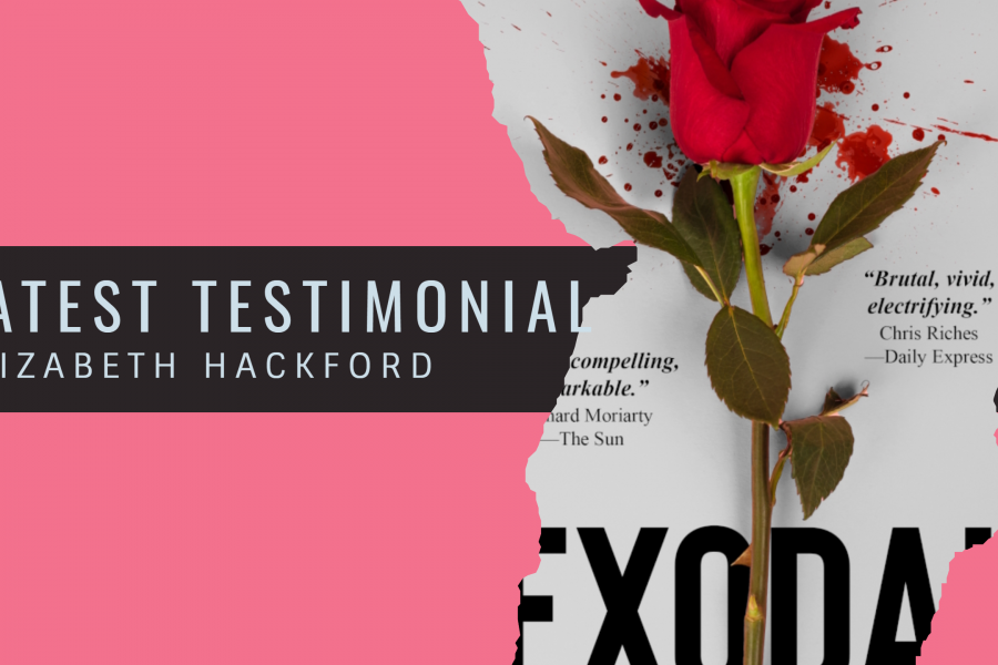 Elizabeth Hackford provides Palamedes PR with a testimonial and review