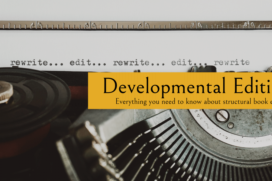 Developmental Editing for Books - a blog by the book marketing and PR firm, Palamedes PR