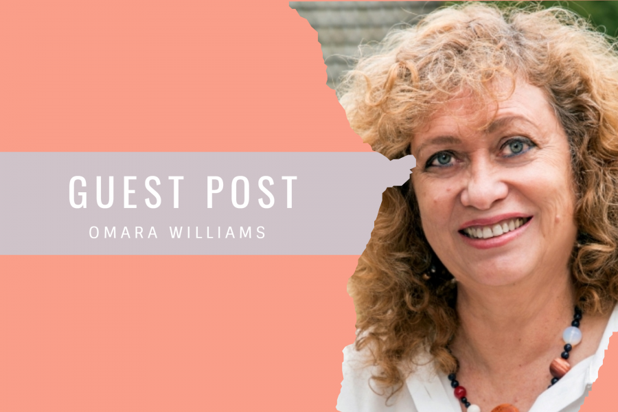 Novelist Omara Williams writes about her remarkable publishing journey for the PRscribe blog by Palamedes PR